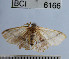  ( - YB-BCI6166)  @11 [ ] No Rights Reserved  Unspecified Unspecified