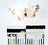  ( - YB-BCI21397)  @12 [ ] No Rights Reserved  Unspecified Unspecified