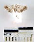  ( - YB-BCI6900)  @12 [ ] No Rights Reserved  Unspecified Unspecified