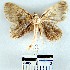  ( - YB-BCI7675)  @13 [ ] No Rights Reserved  Unspecified Unspecified