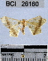  ( - YB-BCI26160)  @12 [ ] No Rights Reserved  Unspecified Unspecified