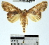  ( - YB-BCI31833)  @12 [ ] No Rights Reserved  Unspecified Unspecified