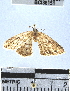  ( - YB-BCI36151)  @11 [ ] No Rights Reserved  Unspecified Unspecified
