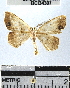  ( - YB-BCI34307)  @12 [ ] No Rights Reserved  Unspecified Unspecified