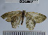  ( - YB-BCI63002)  @12 [ ] No Rights Reserved  Unspecified Unspecified