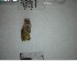  ( - YB-BCI191963)  @11 [ ] No Rights Reserved  Unspecified Unspecified
