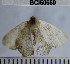  ( - YB-BCI60660)  @12 [ ] No Rights Reserved  Unspecified Unspecified