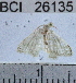  (Chloropteryx BioLep03 - YB-BCI26135)  @13 [ ] No Rights Reserved (2011) Unspecified Unspecified