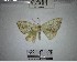  ( - YB-BCI184455)  @11 [ ] No Rights Reserved  Unspecified Unspecified