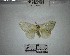  ( - YB-BCI192583)  @11 [ ] No Rights Reserved  Unspecified Unspecified