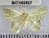  ( - YB-BCI166907)  @11 [ ] No Rights Reserved  Unspecified Unspecified