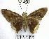  ( - YB-BCI176540)  @11 [ ] No Rights Reserved  Unspecified Unspecified