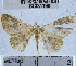 ( - YB-BCI31199)  @12 [ ] No Rights Reserved (2011) Unspecified Unspecified