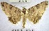  ( - YB-BCI177148)  @11 [ ] No Rights Reserved  Unspecified Unspecified