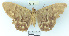  ( - YB-BCI23270)  @11 [ ] No Rights Reserved  Unspecified Unspecified