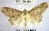  ( - YB-BCI26327)  @11 [ ] No Rights Reserved  Unspecified Unspecified