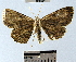  ( - YB-BCI39211)  @14 [ ] No Rights Reserved  Unspecified Unspecified