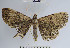  ( - YB-BCI60570)  @13 [ ] No Rights Reserved  Unspecified Unspecified