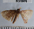  ( - YB-BCI35879)  @12 [ ] No Rights Reserved  Unspecified Unspecified