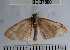 ( - YB-BCI37560)  @12 [ ] No Rights Reserved  Unspecified Unspecified
