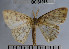  ( - YB-BCI31975)  @13 [ ] No Rights Reserved  Unspecified Unspecified