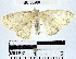  ( - YB-BCI38200)  @13 [ ] No Rights Reserved  Unspecified Unspecified