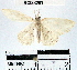  ( - YB-BCI33281)  @13 [ ] No Rights Reserved  Unspecified Unspecified