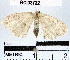  ( - YB-BCI33722)  @13 [ ] No Rights Reserved  Unspecified Unspecified