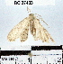  ( - YB-BCI37433)  @13 [ ] No Rights Reserved  Unspecified Unspecified