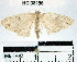  ( - YB-BCI38196)  @14 [ ] No Rights Reserved  Unspecified Unspecified