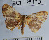  ( - YB-BCI25170)  @13 [ ] No Rights Reserved  Unspecified Unspecified
