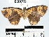  ( - YB-bci30759)  @13 [ ] No Rights Reserved  Unspecified Unspecified