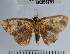  ( - YB-BCI55751)  @13 [ ] No Rights Reserved  Unspecified Unspecified