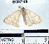  ( - YB-BCI37108)  @12 [ ] No Rights Reserved  Unspecified Unspecified