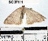  ( - YB-BCI37111)  @13 [ ] No Rights Reserved  Unspecified Unspecified