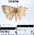  ( - YB-BCI38296)  @13 [ ] No Rights Reserved  Unspecified Unspecified