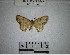  ( - YB-BCI181000)  @11 [ ] No Rights Reserved  Unspecified Unspecified