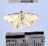  ( - YB-BCI37558)  @12 [ ] No Rights Reserved  Unspecified Unspecified