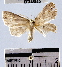  ( - YB-BCI46845)  @14 [ ] No Rights Reserved  Unspecified Unspecified