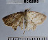  ( - YB-BCI62608)  @12 [ ] No Rights Reserved  Unspecified Unspecified