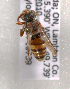  (Nomada bc10 - LRBBC2832)  @12 [ ] CreativeCommons - Attribution Non-Commercial Share-Alike (2009) L.R.Best York University