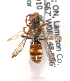  (Nomada on3 - LRBBC2834)  @13 [ ] CreativeCommons - Attribution Non-Commercial Share-Alike (2009) L.R.Best York University