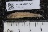  ( - INDOBIOSYS-CCDB25209-E09)  @11 [ ] CreativeCommons - Attribution Non-Commercial Share-Alike (2016) SNSB, Staatliche Naturwissenschaftliche Sammlungen Bayerns ZSM (SNSB, Zoologische Staatssammlung Muenchen)