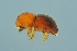  ( - INDOBIOSYS-CCDB26004-C01)  @12 [ ] Unspecified (default): All Rights Reserved  Unspecified Unspecified