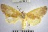  ( - YB-BCI171548)  @11 [ ] No Rights Reserved  Unspecified Unspecified