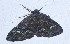  ( - YB-BCI184634)  @11 [ ] No Rights Reserved  Unspecified Unspecified