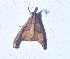  ( - YB-BCI184704)  @11 [ ] No Rights Reserved  Unspecified Unspecified