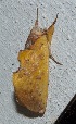  ( - YB-BCI184770)  @11 [ ] No Rights Reserved  Unspecified Unspecified