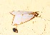  ( - YB-BCI188640)  @11 [ ] No Rights Reserved  Unspecified Unspecified