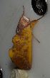  ( - YB-BCI188967)  @11 [ ] No Rights Reserved  Unspecified Unspecified